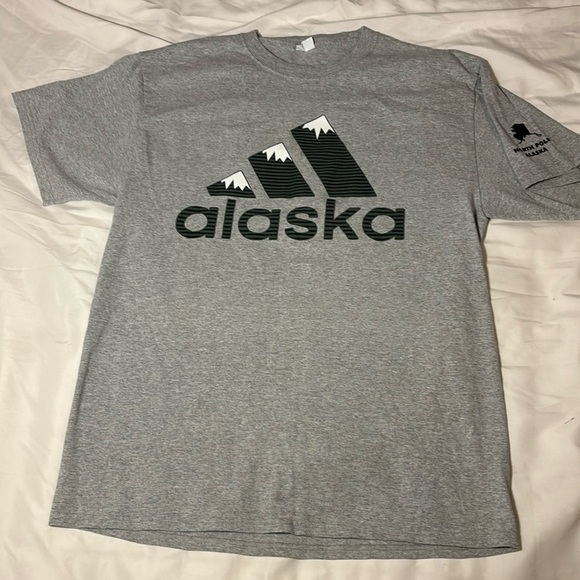 Other - Alaska Mountain Top Adidas Logo TShirt size L
